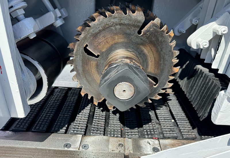 Wielopiła gąsienicowa Tos Svitavy - 04